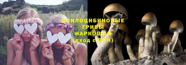 a pvp Абинск