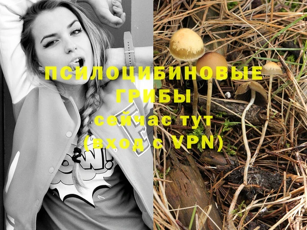 трава Магадан