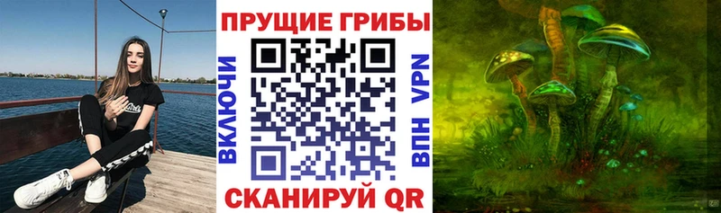 Галлюциногенные грибы мухоморы  закладки  Таганрог 